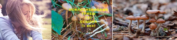 скорость Алексин
